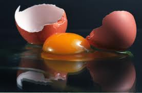 Omelette in HEUDREVILLE