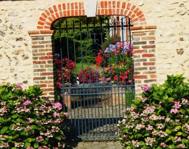 Découvrir le jardin