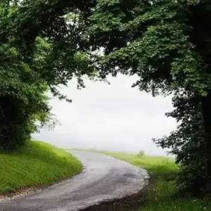 Route du bois Ricard